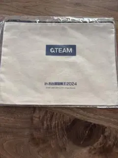 &TEAM お台場冒険王2024 ビッグカプセル　ポーチ