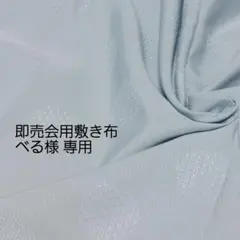 Item thumbnail for item 7663509e-e51e-4691-a7ff-b265ca9ca25d