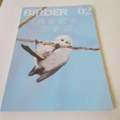 BIRDER 2022年2月号