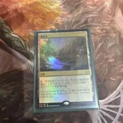 反射池　foil