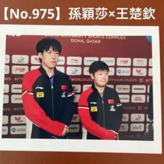 【No.975】孫穎莎　王楚欽　写真　トレーディングカード　中国　卓球