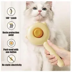 Item thumbnail for item 62ebeb40-c995-41eb-a834-32864460a8d8