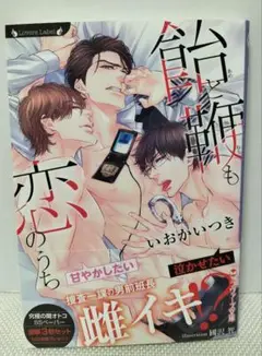 bl小説　飴と鞭も恋のうち　いおかいつき