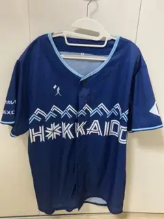 日ハム2025WLHユニ