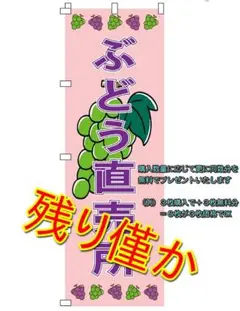 のぼり旗 ぶどう直売所 シャインマスカット(購入枚数と同数分を無料でプレゼント)