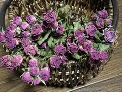 ピンクのスプレー薔薇ドライ