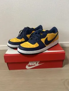 NIKE ターミネーター Low ミシガン