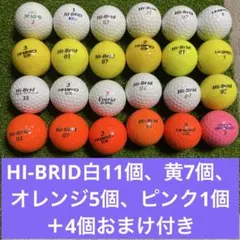 HI-BRID24個＋4個おまけ付き