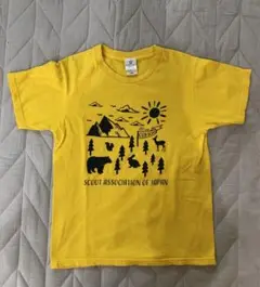 ボーイスカウト制服　カブスカウト　カブTシャツフォレスト　150