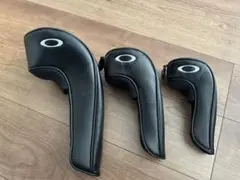 Item thumbnail for item c5e247f0-8cca-477d-9165-e4120b474846