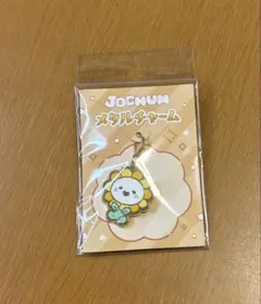 JOCHUM ビラ
