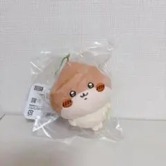 Item thumbnail for item 4151a451-ac8d-4914-b621-4a119e140f4f