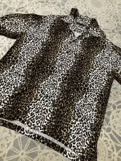 Item thumbnail for item 520a4325-13cf-4e4f-9524-16b48181ec9e