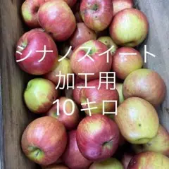 シナノスイート 加工用 10キロ
