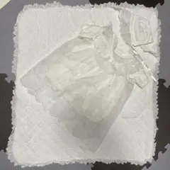 Item thumbnail for item bfd13176-18f5-4de1-a7ca-46295a406893