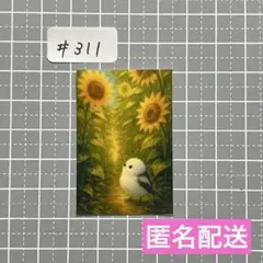 ⭐️1点限り⭐️#311 シマエナガ・ひまわり　防水ステッカー（耐水・耐光）