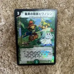 デュエルマスターズ ビワノシン