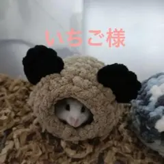 Item thumbnail for item e5a52109-676a-4266-81c1-23fe8b5cf44e