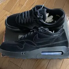エアマックス 1 86 OG "BLACK CAT" FZ3007-001
