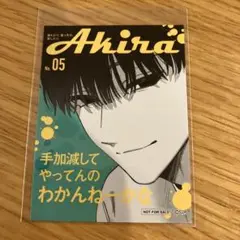 踏んだり蹴ったり愛したり　特典