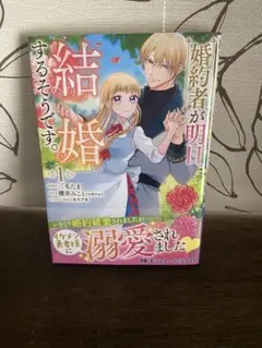 婚約者が明日、結婚するそうです。 初版美品✨