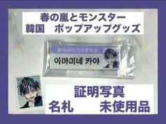 【春の嵐とモンスター】天峰栢　韓国　ポップアップ　ネームプレート　証明写真