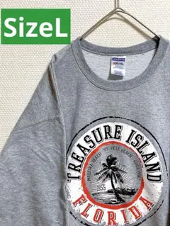 古着 JERZEES 薄手 スウェット センタープリント