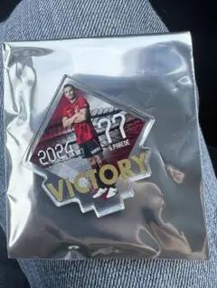 鹿島アントラーズ VICTORYアクリルスタンド