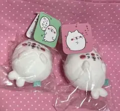 ナガノの水族館　アザラシぬいぐるみくじ　D賞2個セット