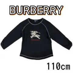 Item thumbnail for item d2112447-366c-45f2-8ecb-843a133c176f