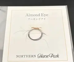 アーモンドアイ　たてがみ　ノーザンホースパーク　新品未開封