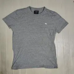 Abercrombie & Fitch グレー Tシャツ Sサイズ