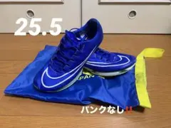 Item thumbnail for item d29b6141-32f3-4c39-9c43-ba946488a1ff