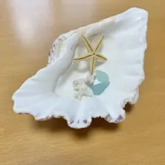 天然 大きめの貝殻 シャコガイ (シャゴウガイ) ヒトデ インテリア 置物
