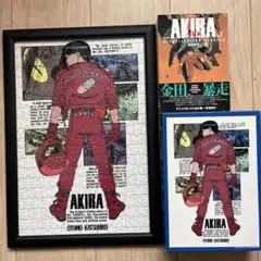 2025年最新】akira ジグソーパズルの人気アイテム - メルカリ