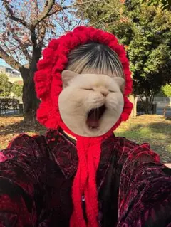 Item thumbnail for item 4e92bb12-7e1c-4fc2-9710-87a628587ebe