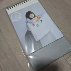 Item thumbnail for item 7590c317-8a09-44ca-aa97-717e3ac13405