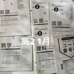 ベネッセ 総合学力テスト 教材セット