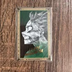 僕のヒーローアカデミア ヒロアカ展 緑谷出久 クリアカード デク
