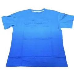 新品✨ANICEFINE DAY グラデーションブルー Tシャツ L