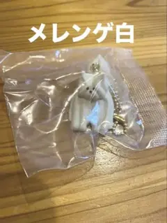 maison terrier メゾンテリア ガチャ メレンゲ 白