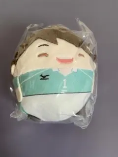 ハイキュー ふわコロりん6 及川