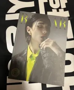 Item thumbnail for item 863a19bf-8a33-4348-b660-c0f5d40ea459