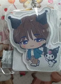 seventeen ウォヌ　パスケース　サンリオ