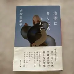 地球にちりばめられて