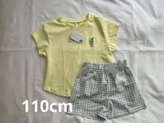 西松屋 クリームソーダー Tシャツ 半袖、ショートパンツ 110