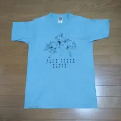 FRUITS OF THE LOOM Tシャツ 90s usa シングルステッチ