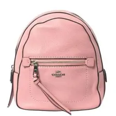 【 あと1点!!】コーチ COACH バッグ リュック アンディ バックパック
