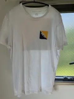 AMERICAN EAGLE AEロゴ Tシャツ Lサイズ