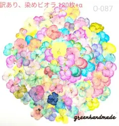【訳あり】押し花　染めビオラ　O-087